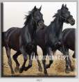 /album/photo-gallery-canvas-uri/decoratiuni-de-perete-canvas-lc-0517-jpg/
